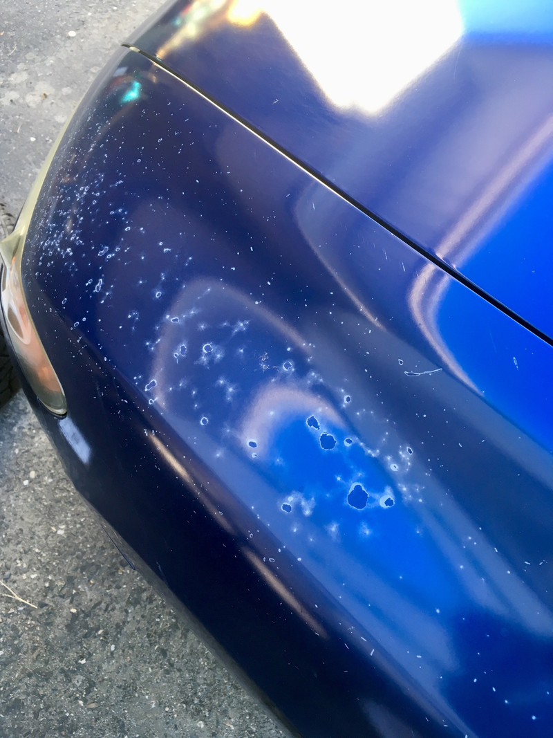 Illustration for article titled Honda Fuji blue, worse and worser.